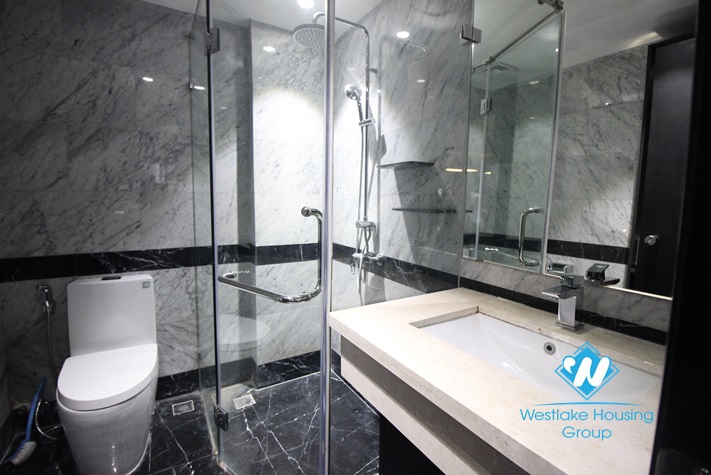 Luxurious and trendy aparment for rent in Hai Ba Trung, Ha Noi